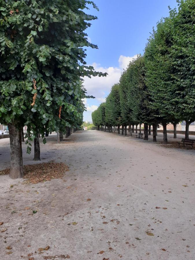 Appartement 48M2 Pour 6 Personnes Au Centre Ville Historique Avec Parking Gratuit Et Une Borne De Recharge Pour Voiture A 10 Metres Avallon Eksteriør billede